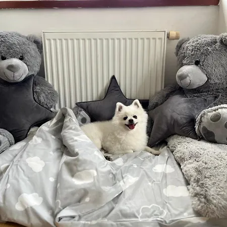 別荘 Dogs And Horní Bezděkov