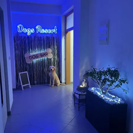 Dogs And Horni Bezdekov