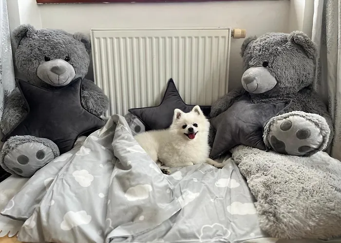 別荘 Dogs And Horní Bezděkov