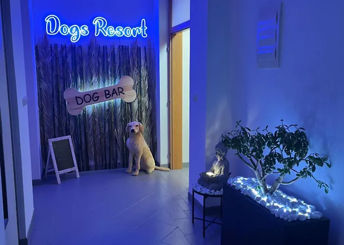 Dogs And Horni Bezdekov